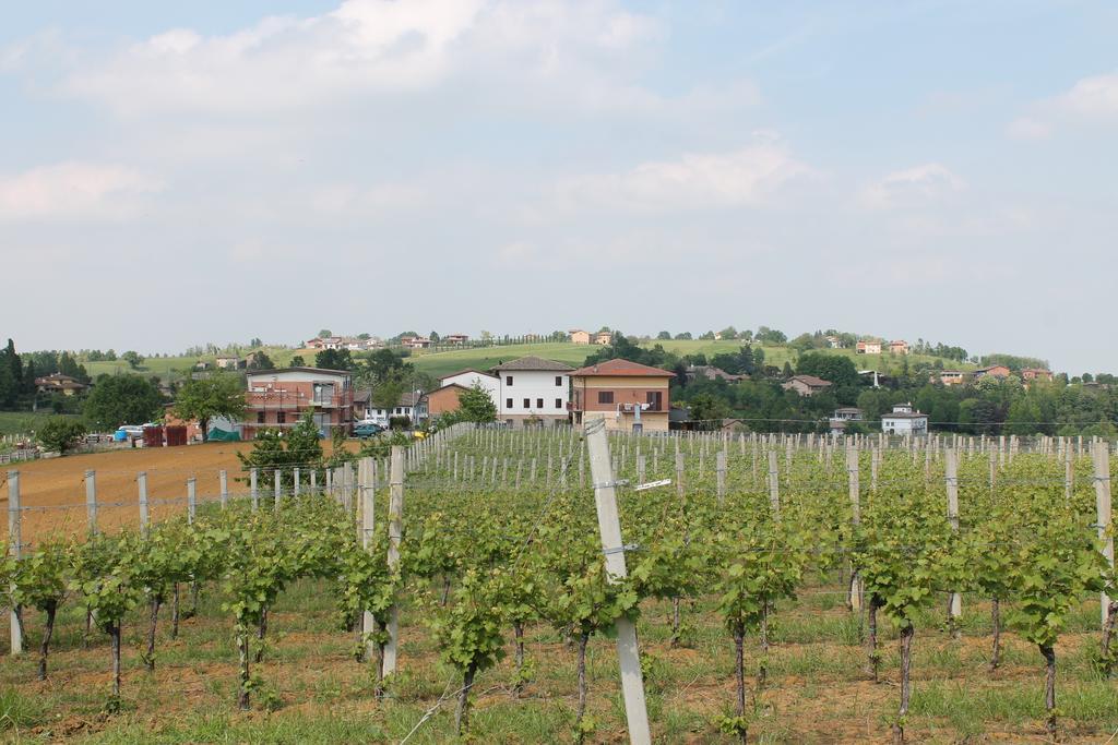 Agriturismo Le Casette Castelvetro di Modena Εξωτερικό φωτογραφία