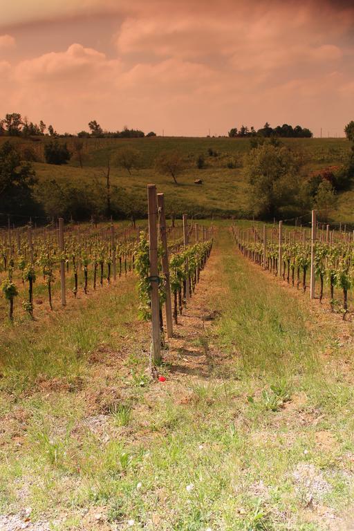 Agriturismo Le Casette Castelvetro di Modena Εξωτερικό φωτογραφία