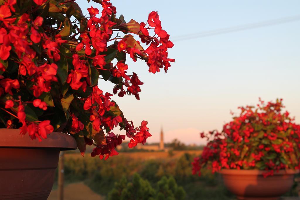 Agriturismo Le Casette Castelvetro di Modena Εξωτερικό φωτογραφία
