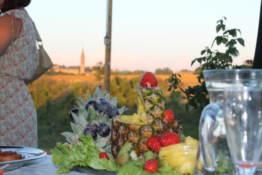 Agriturismo Le Casette Castelvetro di Modena Εξωτερικό φωτογραφία